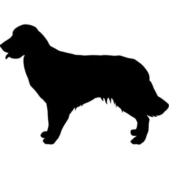 Samolepicí dekorace na vozidlo Samolepka silueta retrívr na auto a motorku, tuning nálepka (1873)