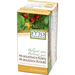 Fytopharma Při bolestech kloubů 20 x…