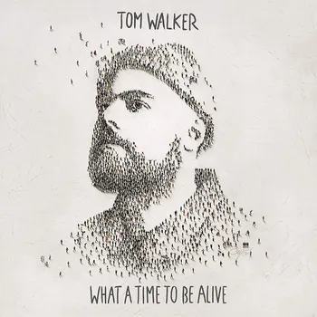 Zahraniční hudba What a Time to Be Alive - Tom Walker [LP]