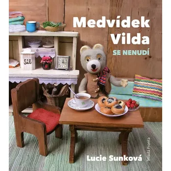 Medvídek Vilda se nenudí - Lucie…