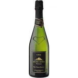 Cava Jaume Serra Vintage Brut Nature…
