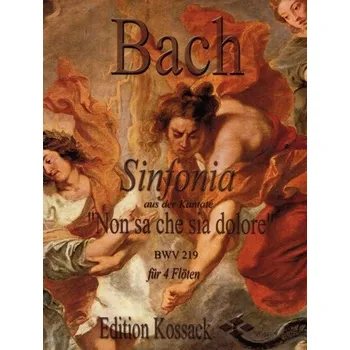 Sinfonia aus Kantate BWV 219 Non sa che sia dolore pro čtyři příčné flétny