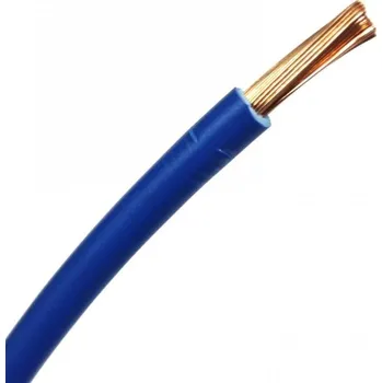 elektrický kabel Vodič (kabel) CYA 2,5 modrý, 1 metr