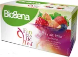 Biogena Fantastic Fruit mix 20 x 2,5 g