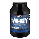 Enervit 100% Whey Protein Concentrate 900 g