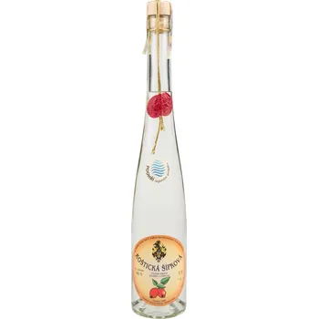 Pálenka Recenze Karfíkův Dvůr Koštická šípková pálenka 46 % 0,5 l