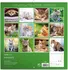Kalendář Presco Group poznámkový kalendář Kočky 2020
