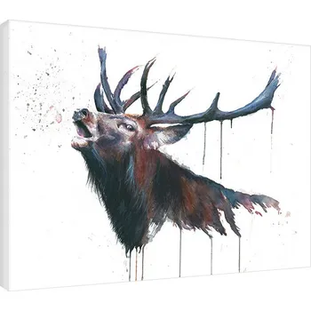 Obraz Obraz na plátně Sarah Stokes - Roar