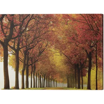 Obraz Obraz na plátně Lars Van De Goor - So Full