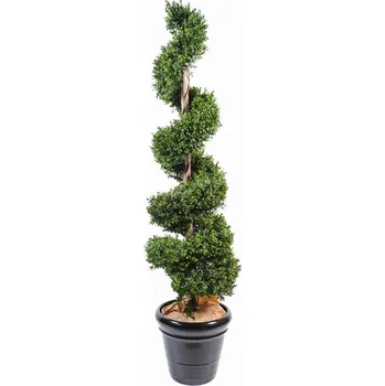 umělá květina BUXUS SPIRAL NEW, 180cm (Luxusní umělý strom zimostráz)