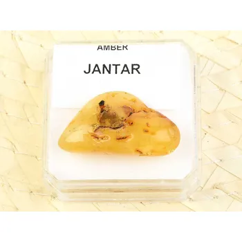 Sběratelství Jantar z Litvy (Balt) 2,5g