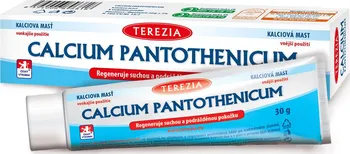 Terezia Company Calcium Pantothenicum mast 30 g