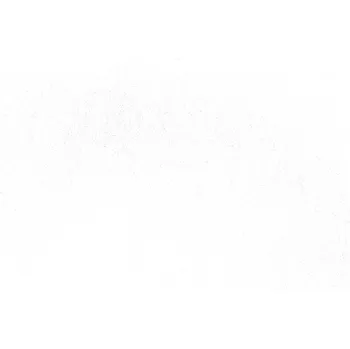 Prostěradlo PETRA, DAVID Froté prostěradlo bílé 200x220 cm