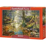 Castorland Podzimní les 2000 dílků