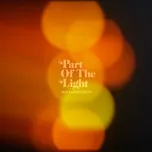 Part of the Light - Ray LaMontagne [LP]