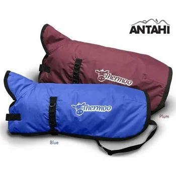 Pánská vesta Vesta Thermoo vel. S