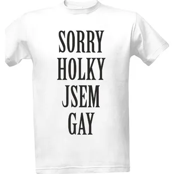 Pánské oblečení Tričko s potiskem Sorry holky jsem gay pánské