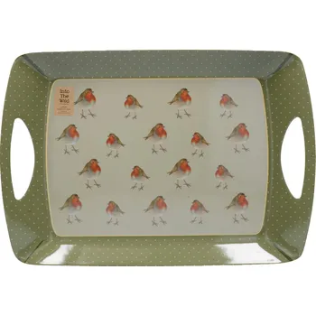 Creative Tops, Anglie Creative Tops - Plastový tác Robin velký - 47,5*33 cm Barva: jako na obrázku, Velikost: 47,5x33