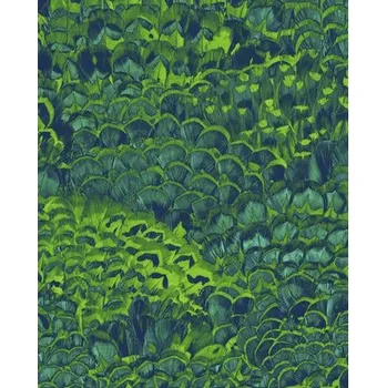 Fototapeta Fototapeta vliesová Feathers, motiv abstraktní