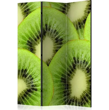 Paraván Paraván Kiwi slices Dekorhome