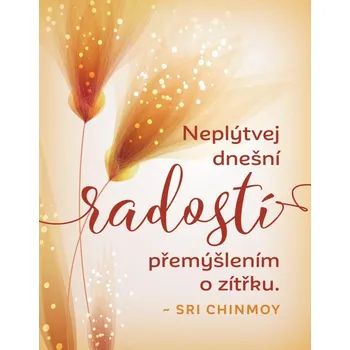 Dekorativní magnet Magnet na lednici Neplýtvej dnešní radostí - Sri Chinmoy
