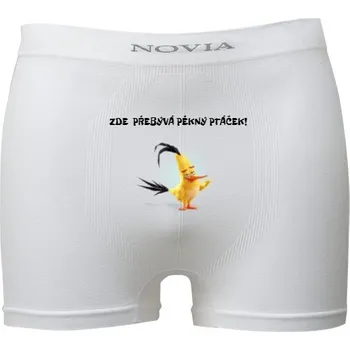 Trenýrky s potiskem Pěkný ptáček pánské