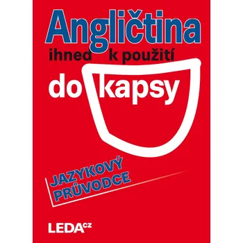 Anglický jazyk Angličtina ihned k použití (do kapsy)