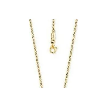 Řetízek Pozlacený stříbrný řetízek ERN-45-G