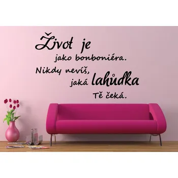 Samolepící dekorace Samolepky na zeď-Nápis-Život V - S (60 x 38 cm)
