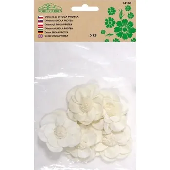 Dekorace SHOLA POTEA 5ks/přírodní