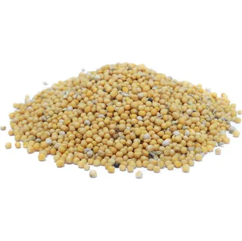 Koření Koření Koruna Hořčice bílá celá 50g