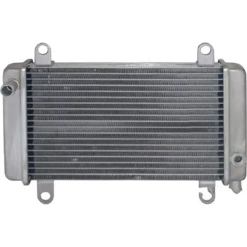 Elektroinstalace pro motocykl Derbi GP1 250 2007-2010 chladič vodní kapaliny (Derbi GP1 250, GP1 250 i Racing)