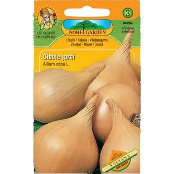 Semeno Cibule jarní, žlutá VŠETENA