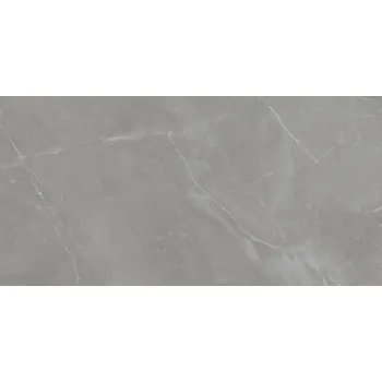 Dlažba Grey Pulpis pol - dlaždice rektifikovaná 59,8x119,8 šedá lesklá 6004080