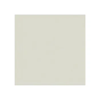 Barevný papír Barevný karton - A4 / 160 g / světle šedá