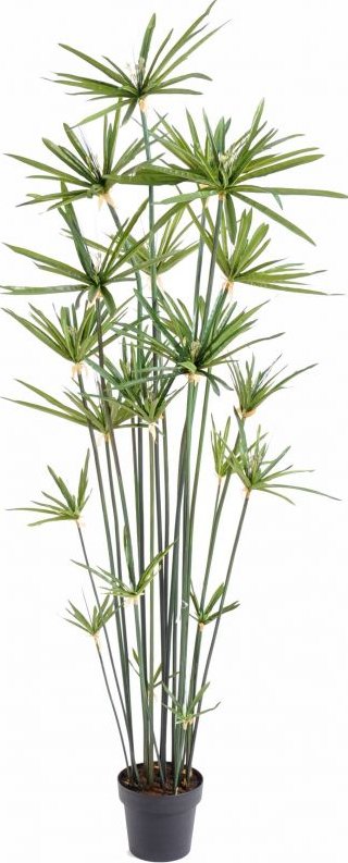 Luxusní umělá rostlina Šáchor Alternifolius, 185cm