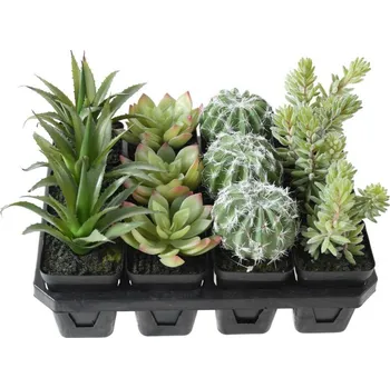 umělá květina VertEspace Luxusní umělé SUKULENTY set 12ks, 20cm