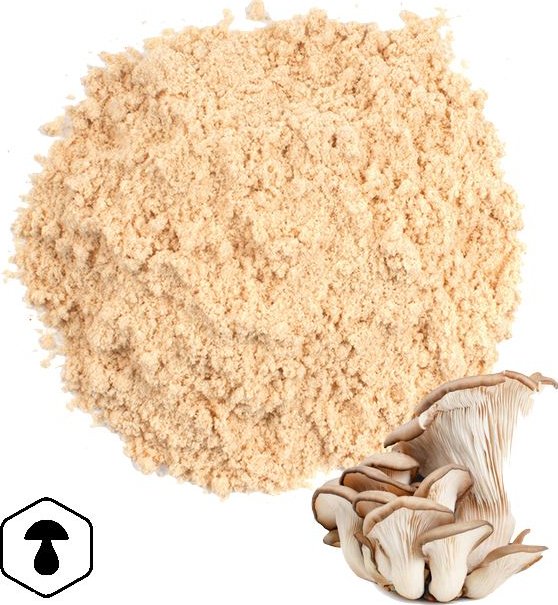 LifeChi - Hlíva ústřičná (Pleurotus ostreatus) extrakt v prášku 50 g