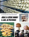 Jedlé a léčivé houby a jak je pěstovat - Ivan Jablonský, Václav Šašek (2019, brožovaná)