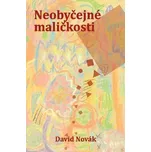 Neobyčejné maličkosti - David Novák…