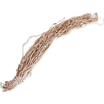 Zahradní dekorace SU Palmová Kůra Whitewashed 250gr (12266030010)