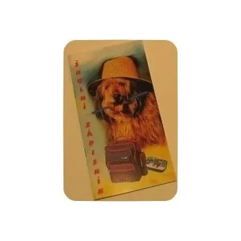 Zápisník školní 20x10cm