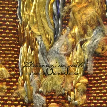 Česká hudba Ztracený ve světě: Janota Tribute - Oldřich Janota [CD]