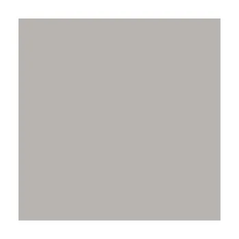 Obklad Color One (RAL 0607005) - obkládačka 15x15 šedá lesklá WAA19010