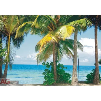 Fototapeta Vliesová fototapeta Palmy FTNXXL-0384 / fototapety na zeď PALMS (360 X 270 cm) AG Design