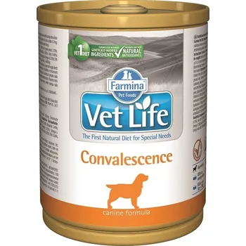 Krmivo pro psa Vet Life Convalescence 300 g
