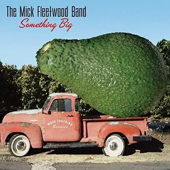 Zahraniční hudba Something Big - The Mick Fleetwood Band [CD]