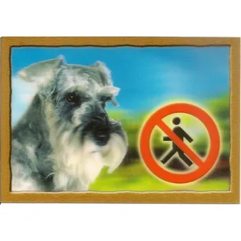 Cedulka 3D Pozor pes Knírač pepř a sůl