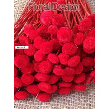 Vánoční dekorace Botao 100gr. červená