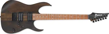 elektrická kytara Ibanez RG RT421 WNF